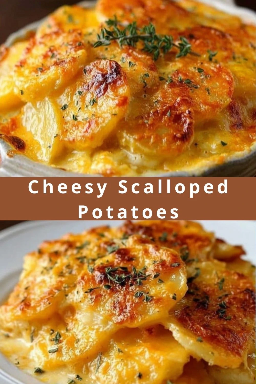 Cheesy Scalloped Potatoes