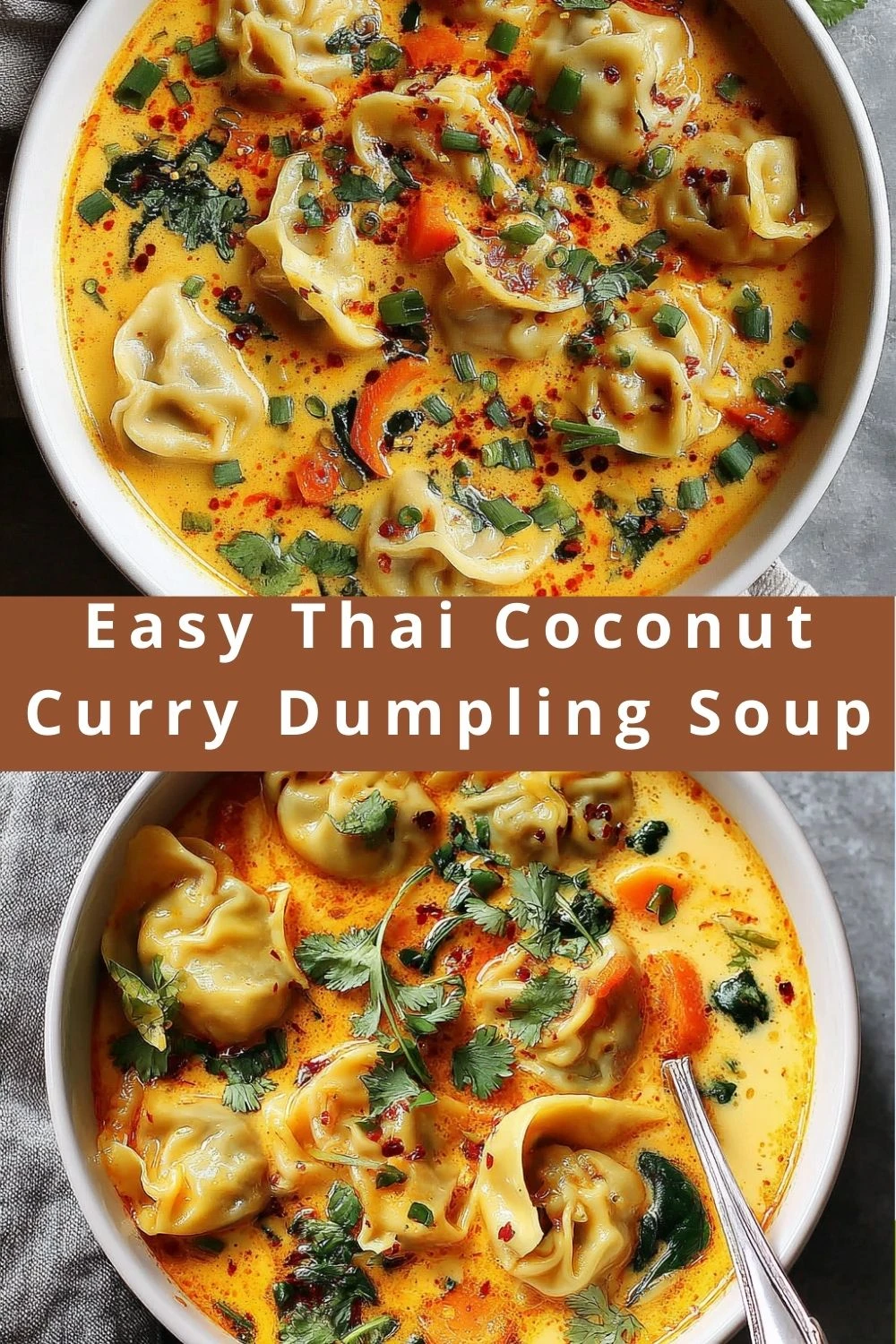 Easy Thai Coconut Curry Dumpling Soup