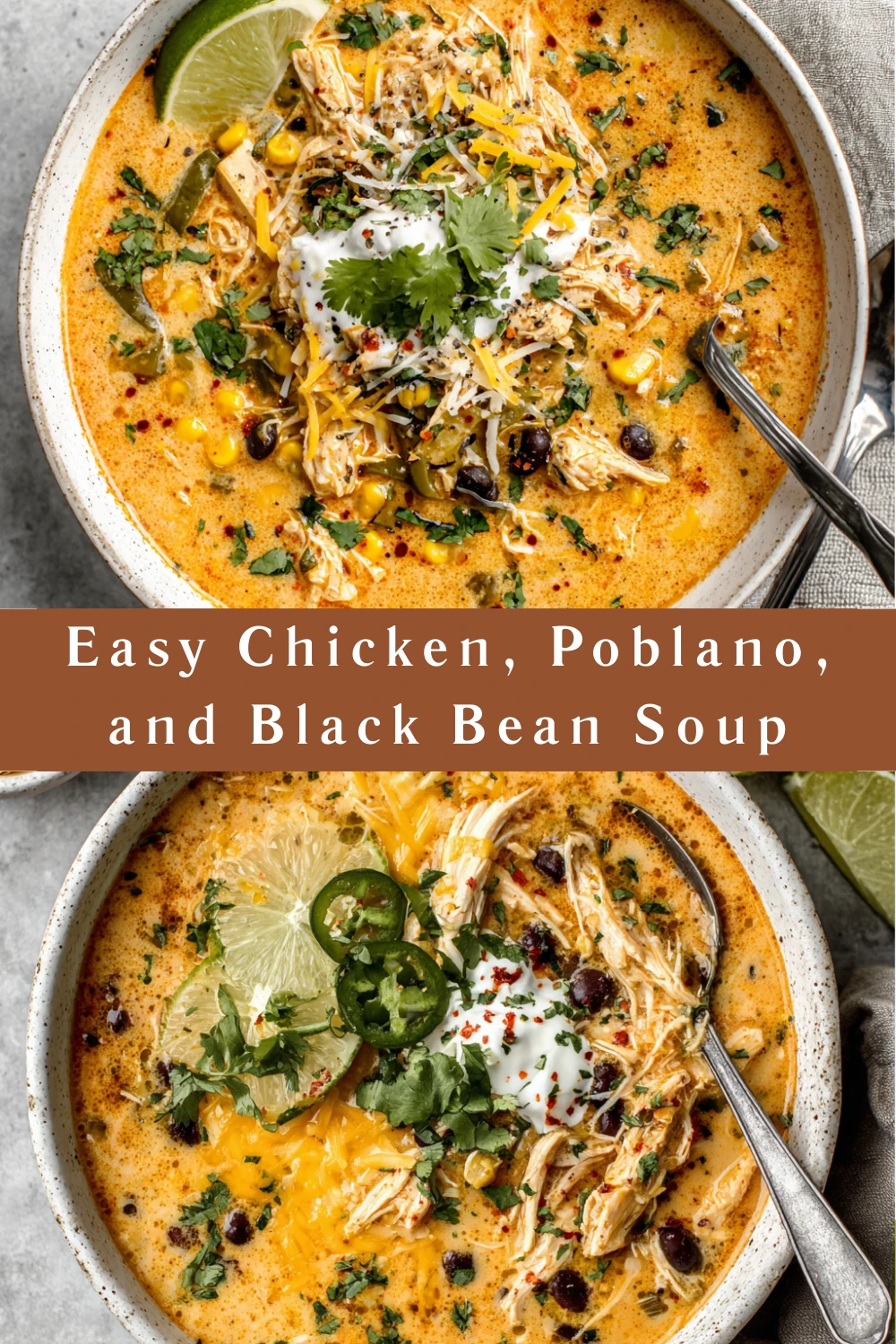 Easy Chicken, Poblano, and Black Bean Soup