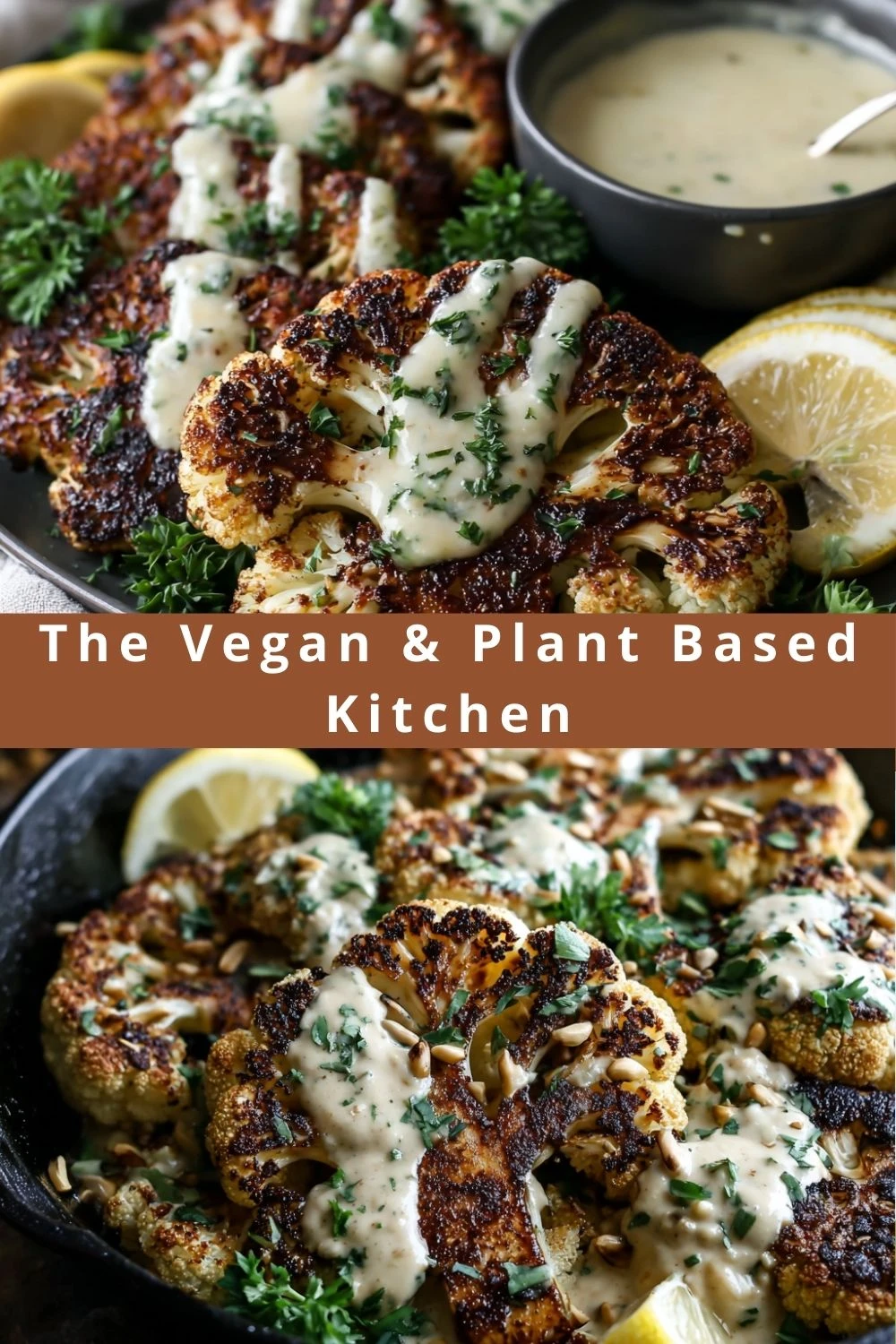 The Vegan & Plant Based Kitchen