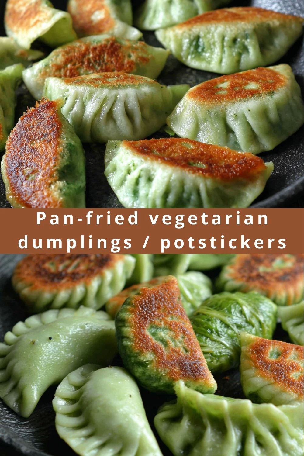 Pan-fried vegetarian dumplings / potstickers