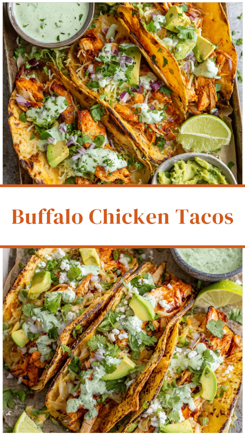 Buffalo Chicken Tacos