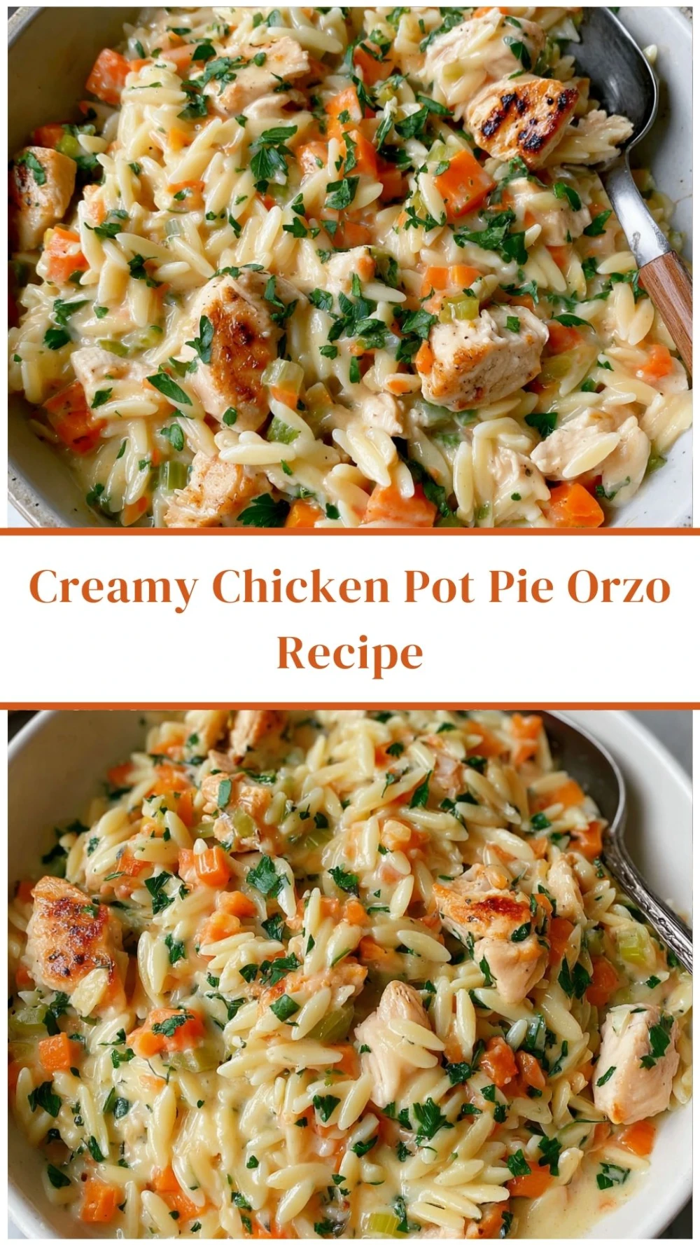 Creamy Chicken Pot Pie Orzo Recipe