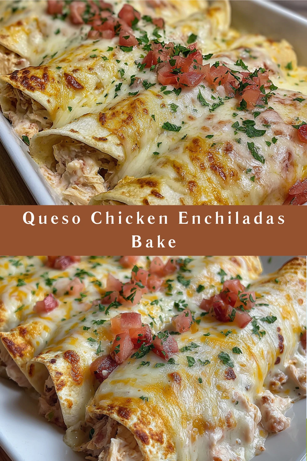 Queso Chicken Enchiladas Bake