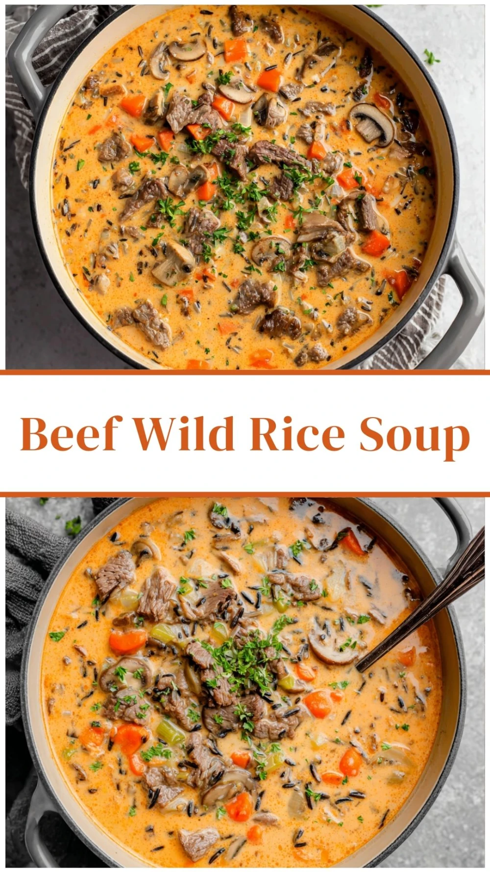 Beef Wild Rice Soup