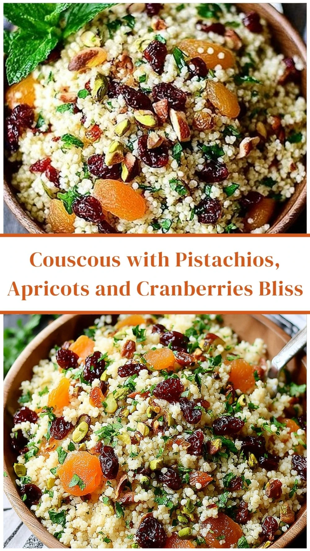 Couscous with Pistachios, Apricots and Cranberries Bliss