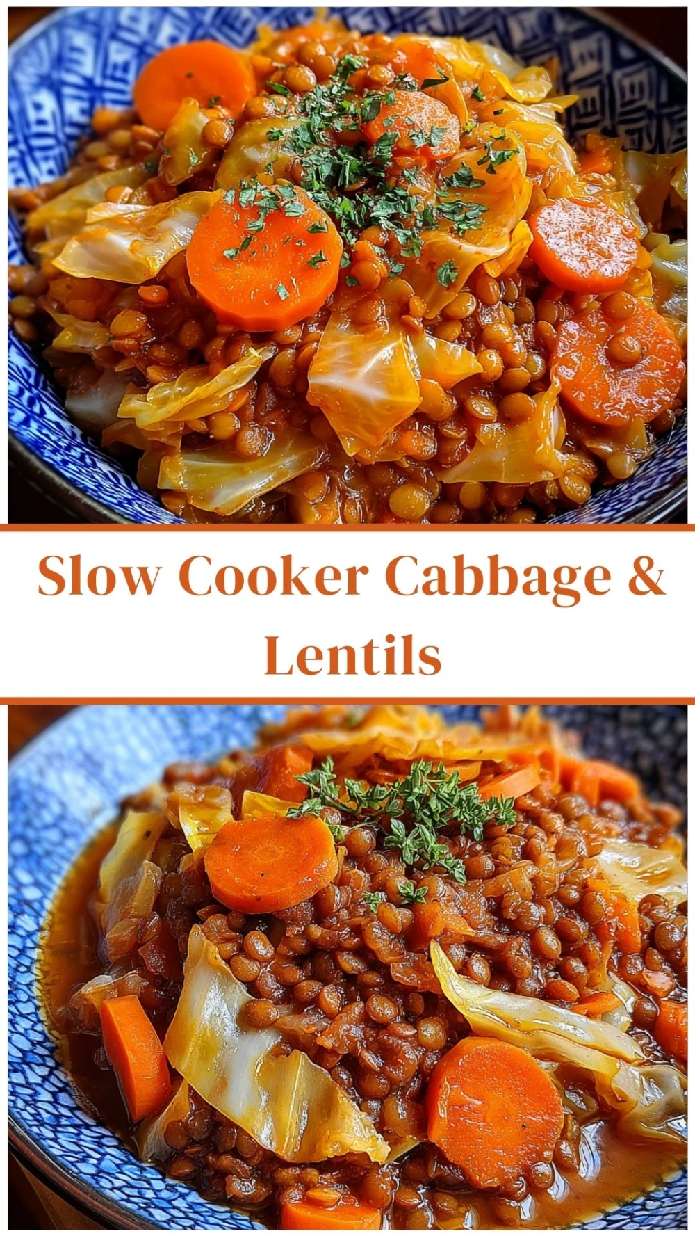 Slow Cooker Cabbage & Lentils
