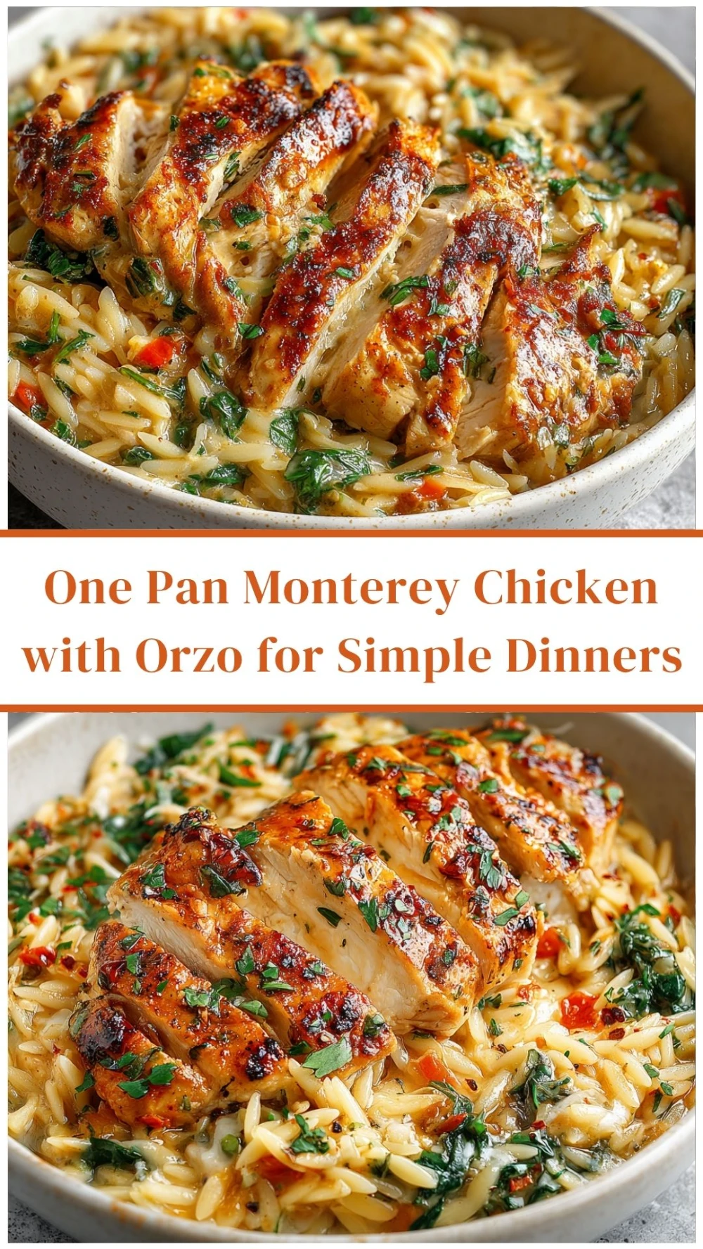 One Pan Monterey Chicken with Orzo