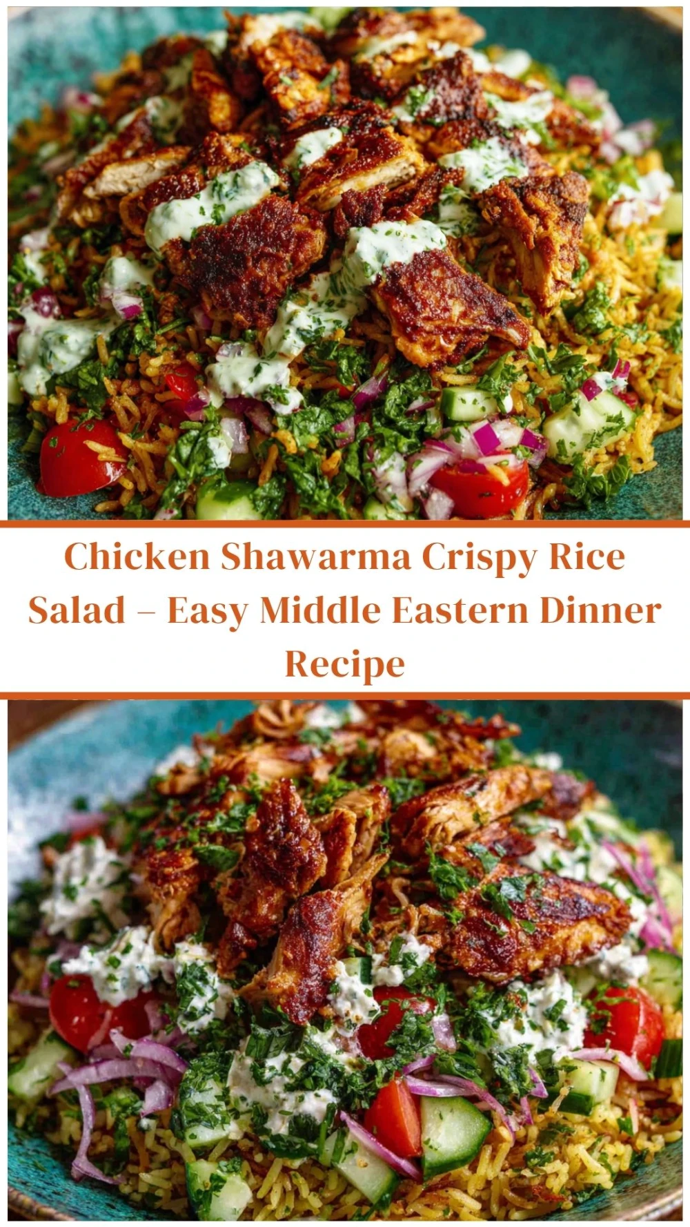 Chicken Shawarma Crispy Rice Salad
