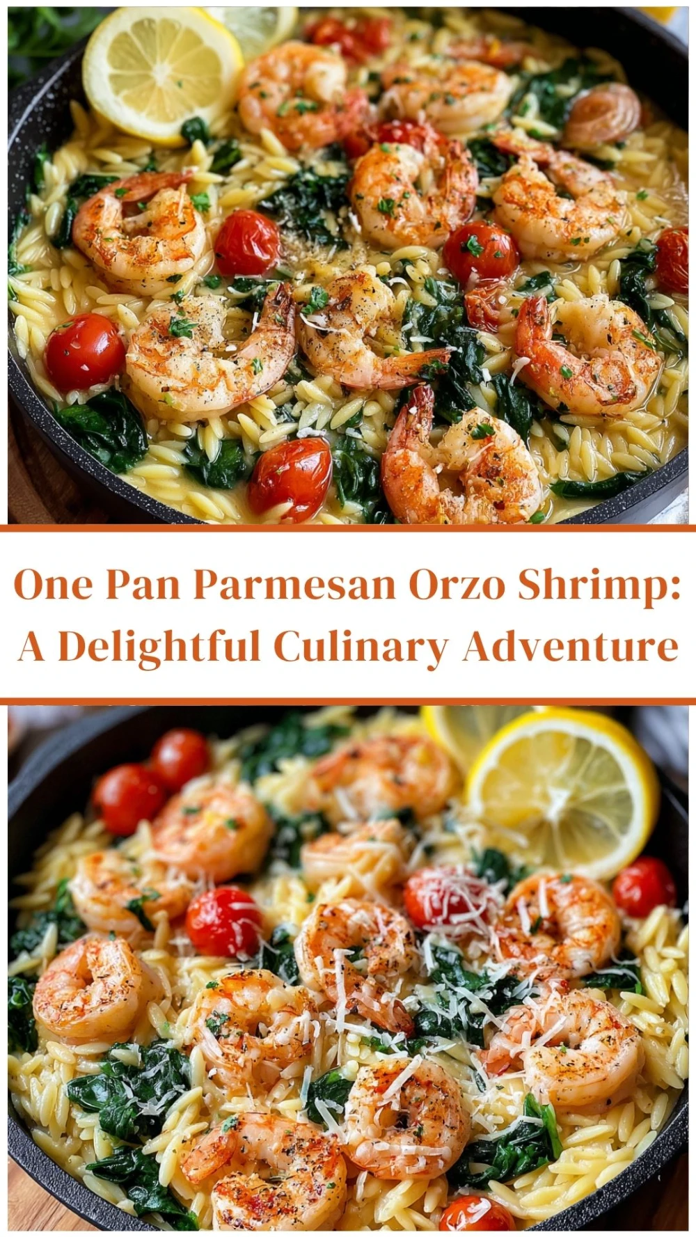 One Pan Parmesan Orzo Shrimp: A Delightful Culinary Adventure