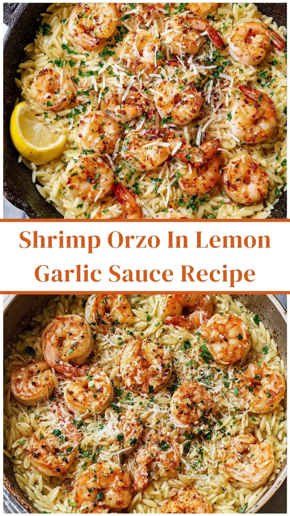 Shrimp Orzo in Lemon Garlic Sauce