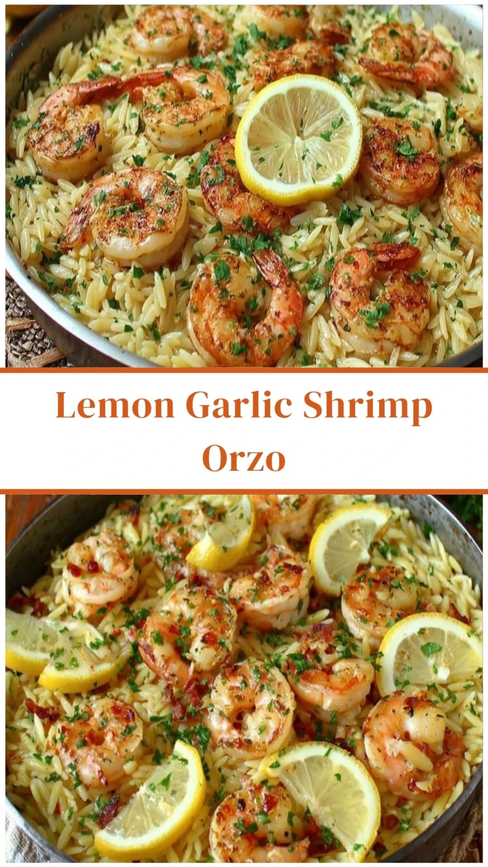 Lemon Garlic Shrimp Orzo