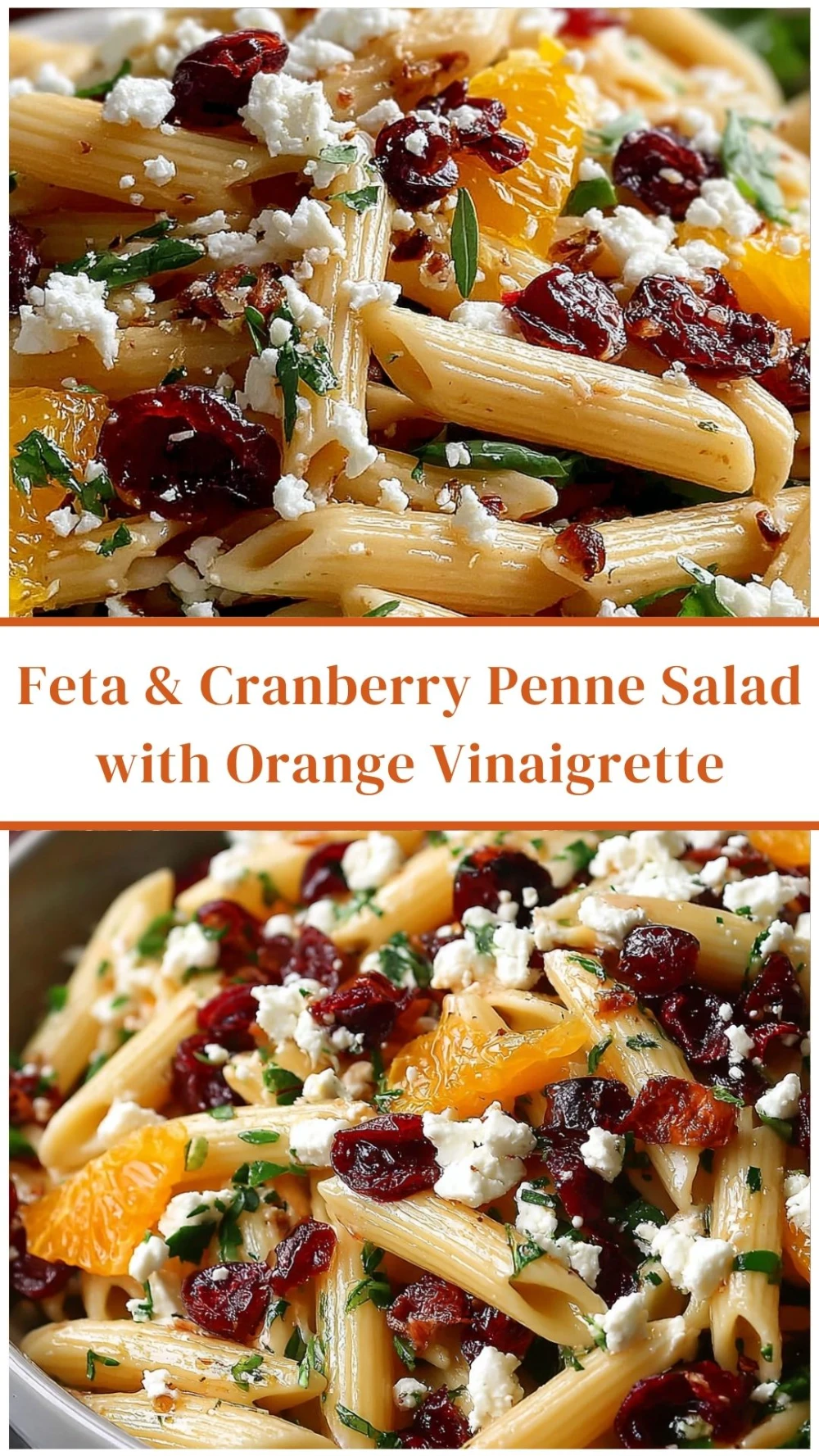 Feta & Cranberry Penne Salad with Orange Vinaigrette