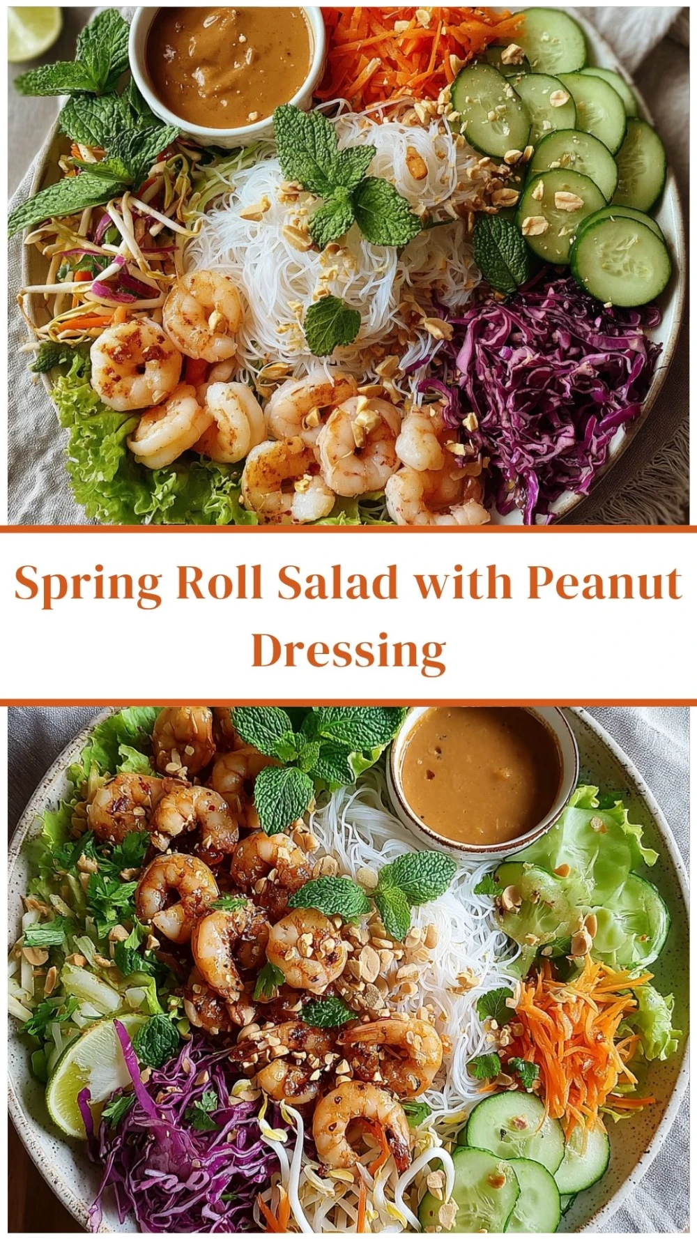 Spring Roll Salad with Creamy Peanut Dressing