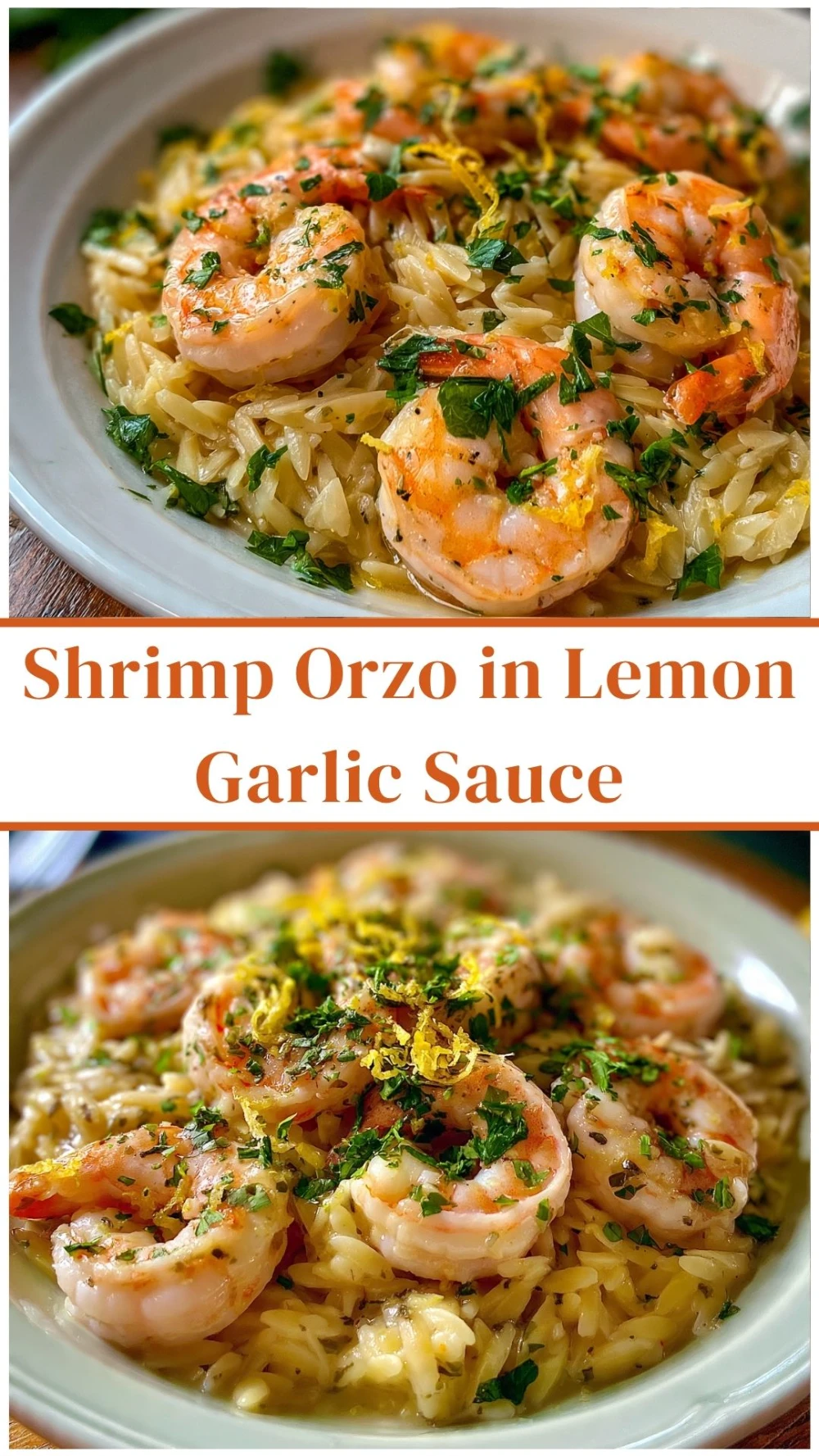 Shrimp Orzo in Lemon Garlic Sauce